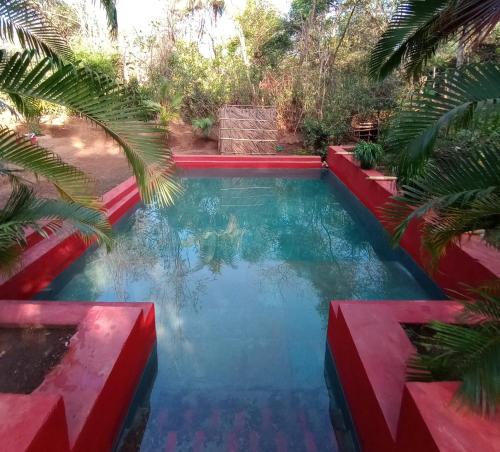 Garden, Nature's Nest Goa in Mollem