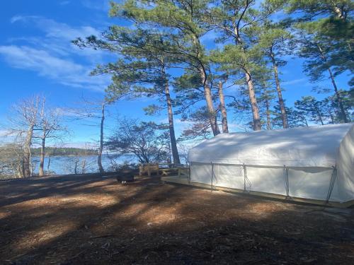 . Tentrr State Park Site - Louisiana South Toledo Bend State Park - Site D - Single Camp