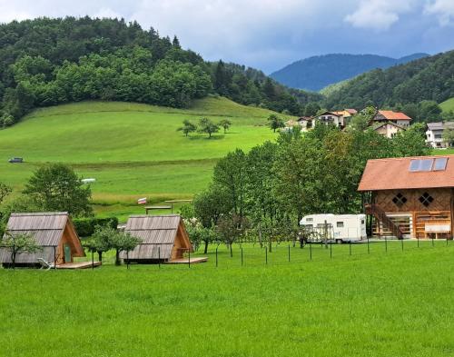 Glamping - Kamp Steska - Hotel - Žalec