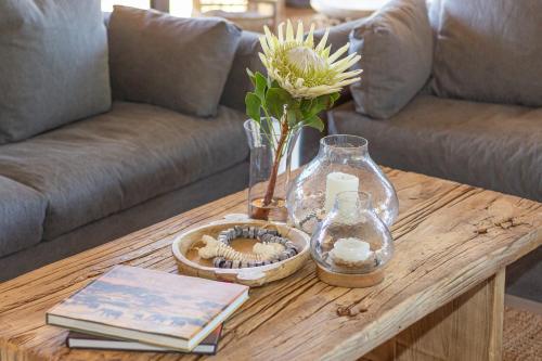 Addo Elephant Lodge and Safaris