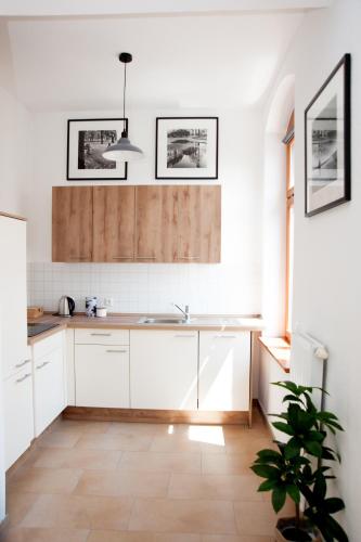 1-Raum-Wohnung zentral gelegen, Drážďany (fotografie 3)