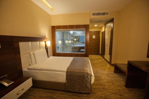 Mitannia Regency Hotel - image 8