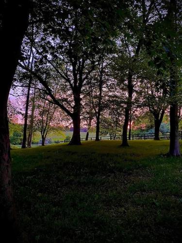 Gorstage Meadows Luxury 2 Bedroom Lodge in Rural Cheshire in นอร์ธวิค