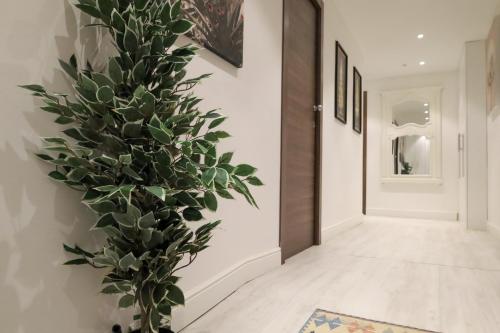 Hermitage Suites 5