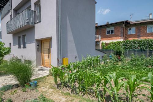 POMODORO ROOMS in Blato