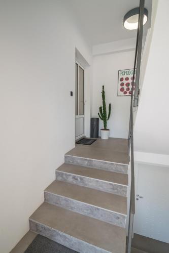 POMODORO ROOMS in Blato