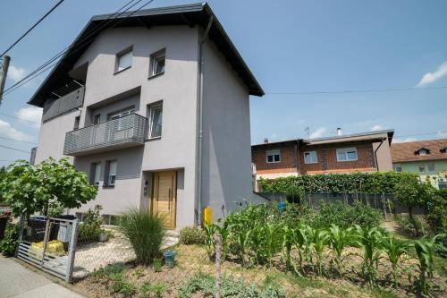 POMODORO ROOMS in Blato