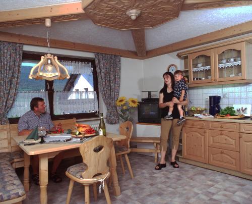 Ubernachtungspension ohne Fruhstuck - Pension - Ferienwohnungen Ludwig in Rimbach