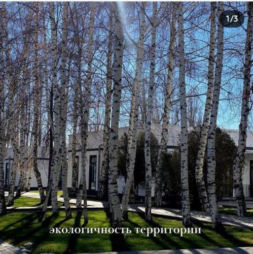 ЦО.Atlantis
