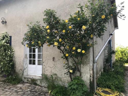 la Grange du Chapelat - Location saisonnière - Bourdeilles