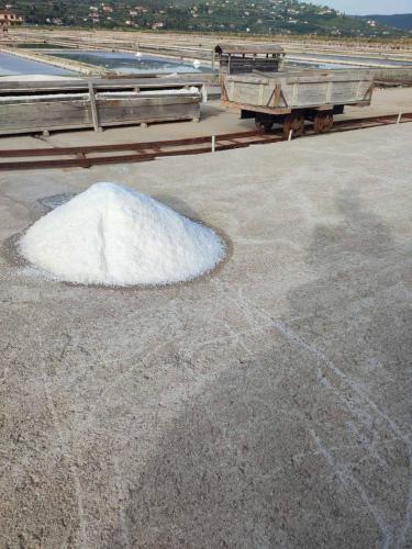 Apartma na vasi Apartma na vasi