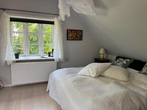 Fuglsang Bed & Breakfast