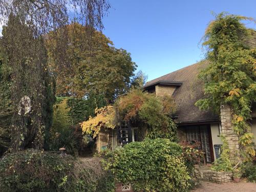 Sandford Meadow Guest House - Oxford