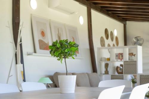 Moderno loft recien reformado en Santa Cruz de Tenerife