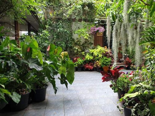 37 Nature House