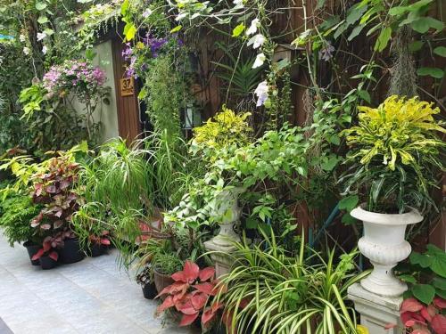 37 Nature House