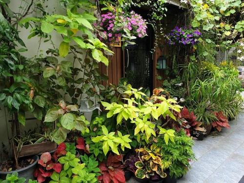 37 Nature House