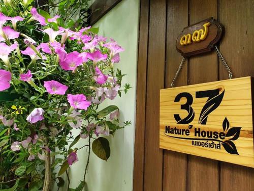 37 Nature House