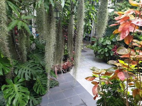 37 Nature House