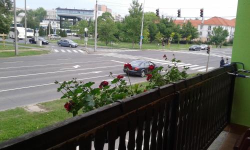 Park Apartman - image 5