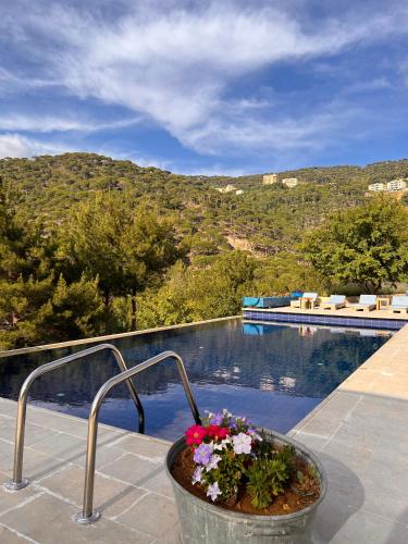 Swimming pool, Blue Jay Valley in Jezzine