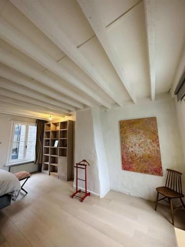 Charmante woning in city center, Amberes (foto 5)