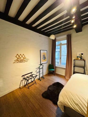 Charmante woning in city center, Amberes (foto 6)