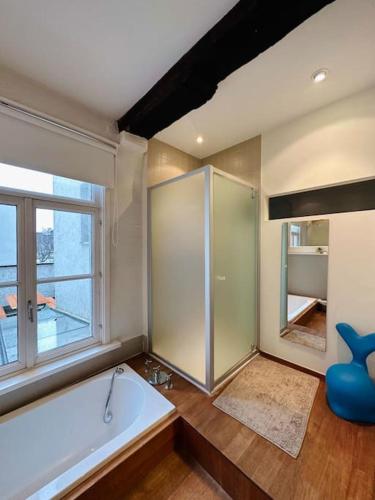 Charmante woning in city center, Amberes (foto 9)
