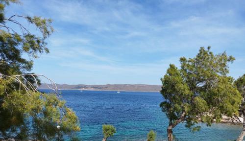 Al mare, Sounio (foto 2)