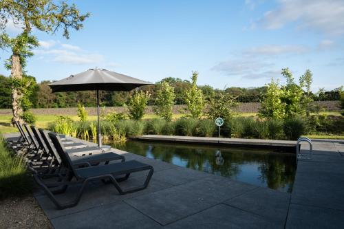 สระว่ายน้ำ, Hofparken Wiltershaar - groepsaccommodatie met privé wellness (Hofparken Wiltershaar - groepsaccommodatie met prive wellness) in วินตอร์วิก