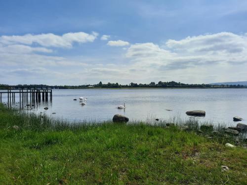 Corradiller Quay, Lisnaskea, Fermanagh