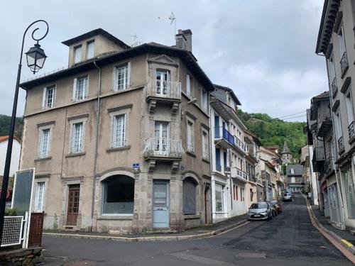 Vue sur les Montagnes - Location saisonnière - Vic-sur-Cère