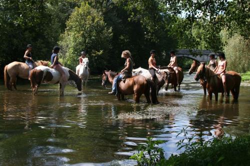 Sérénité à la ferme équestre (Serenite a la ferme equestre) in Lempzours