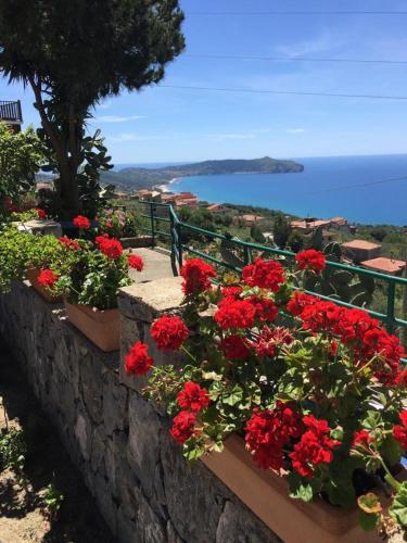 Villa Incanto B&B - Accommodation - Caprioli