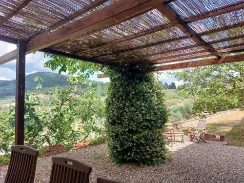  Fiesole Charme & Relax in Fiesole