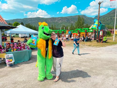 Hegna Camping - image 9