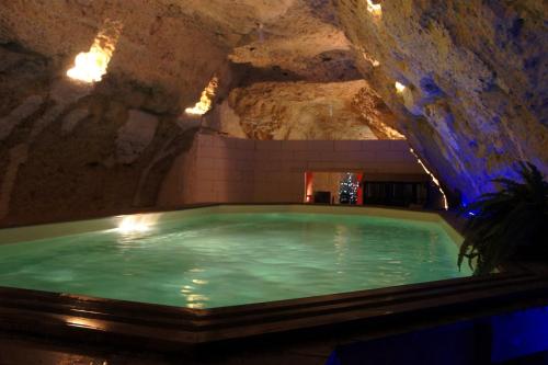 Chambres d'Hôtes Troglodytes Le Clos de L'Hermitage - Chambre d'hôtes - Amboise