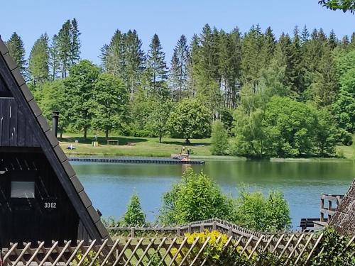 Holiday Home Hexenhaus im Harz by Interhome in Clausthal-Zellerfeld, Deutschland