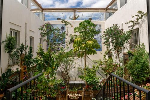 The crème de la crème of Boutique hotels in Cádiz uncovered
