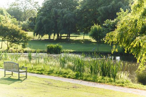 Champneys Springs