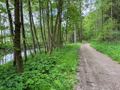 Surrounding environment, Ferienzimmer Reurieth in Reurieth