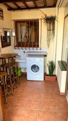  El Niuet in L Escala