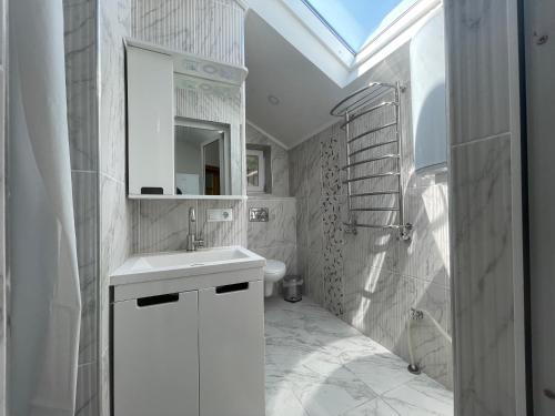 Bathroom, Villa aeroport розовыи дом in Chisinau
