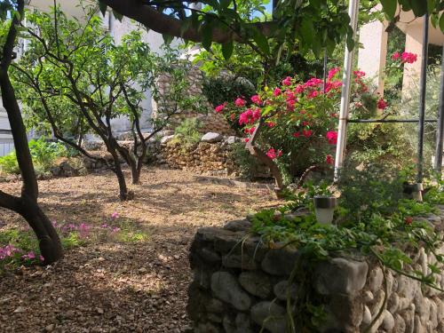  Apartments Stari Pavle in Brela