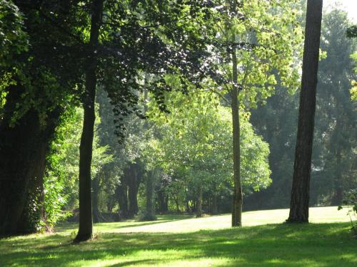 les grandes hayes in Le Mele-sur-Sarthe