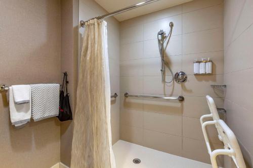 King Room with Roll-In Shower - Accessible/Non Smoking