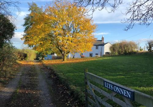 Llys Onnen - North Wales Holiday Cottage