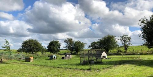 Llys Onnen - North Wales Holiday Cottage