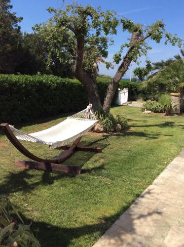 Garden, Villa sul mare Rosa Marina in Rosa Marina