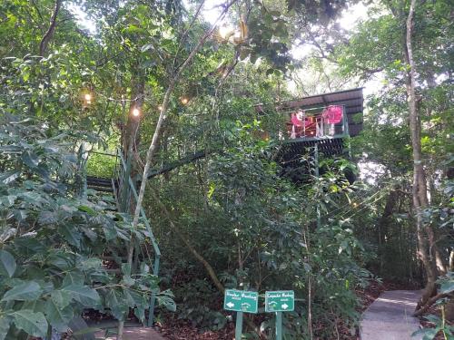 Jungle Living Tree Houses